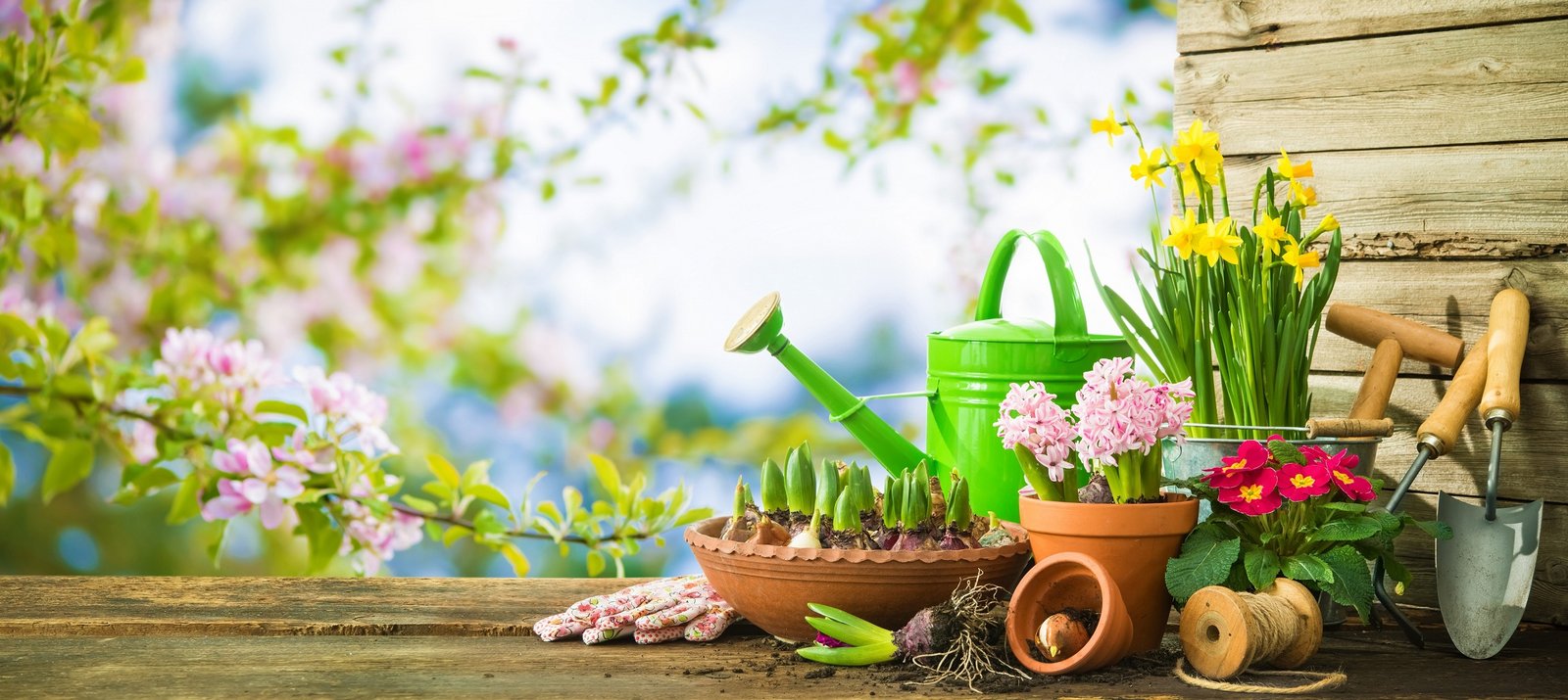 Things to know before you start gardening