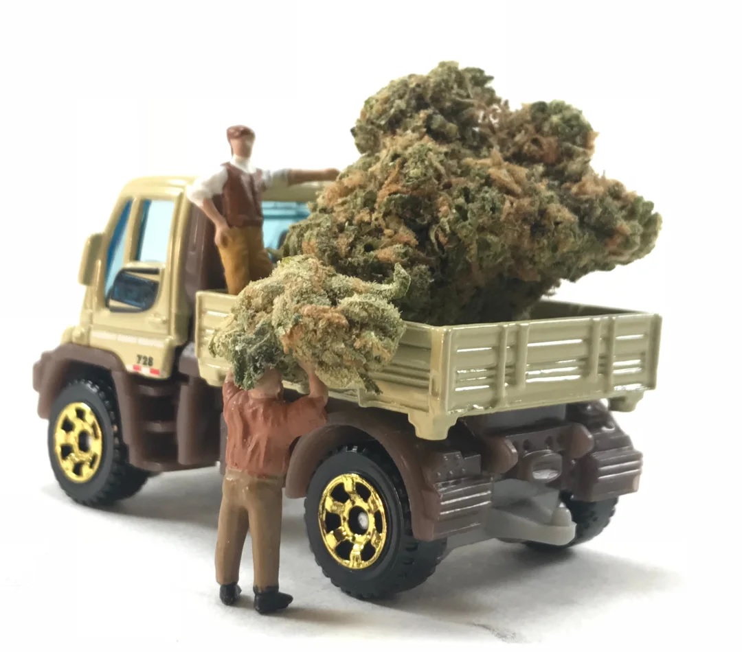 Weed delivery Toronto west
